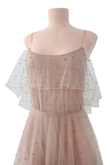 Fall 2016 Valentino by Pierpaolo Piccioli & Maria Grazia Chiuri Net Dress w Silver Sequin & Beads