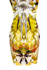 Spring 2009 Alexander McQueen Runway 'Natural Dis-tinctions, Un-Natural Selection' Crystal Print Dress