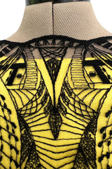 Extraordinary Resort 2010 Alexander McQueen Rare Black Embroidered Net over Yellow Silk Dress