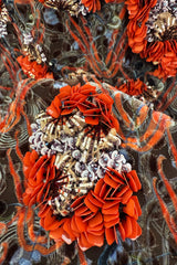 Prettiest Resort 2017 Christian Dior Runway Look 23 Brocade, Silk & Velver Sequin & Beaded Dress