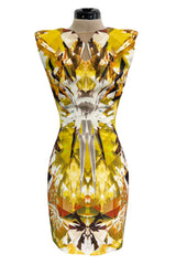 Spring 2009 Alexander McQueen Runway 'Natural Dis-tinctions, Un-Natural Selection' Crystal Print Dress