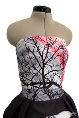 Superb Fall 2013 Mary Katrantzou Runway Print From Look 7 Strapless Bubble Skirt Mini Dress