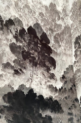 Spring 2000 Hanae Mori Haute Couture Forest & Butterfly Print Silk Chiffon Dress & Silk Huge Scarf