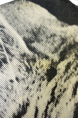 1968 1st Edition Harry Gordon Cat Dress