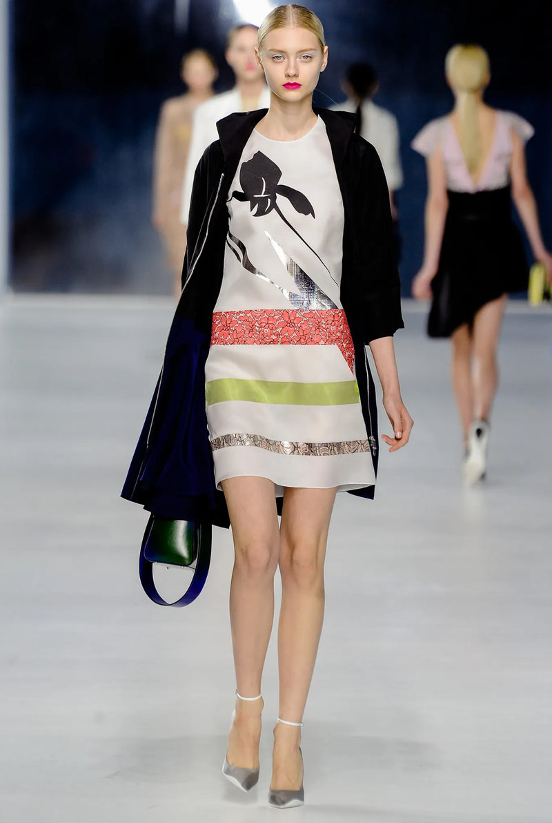 Cruise 2014 Christian Dior by Raf Simons Runway Look 29 Silk Shift