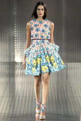 Prettiest Spring 2014 Mary Katrantzou Runway Look 19 Printed Beaded Mini Dress w Full Skirt