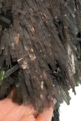 Incredible Fall 2010 Gucci by Frida Giannini Runway Look 45 Strapless Dress Covered w Pailettes & Matching Capelet