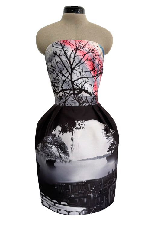 Superb Fall 2013 Mary Katrantzou Runway Print From Look 7 Strapless Bubble Skirt Mini Dress