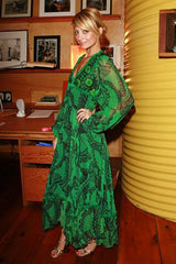 Well Documented Spring 1970 Unlabeled Thea Porter Green Butterfly Print Silk Chiffon Dress