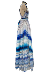 Resort 2010 Alexander McQueen Silk Chiffon Blue Print Dress w Plunging Front & Open Back