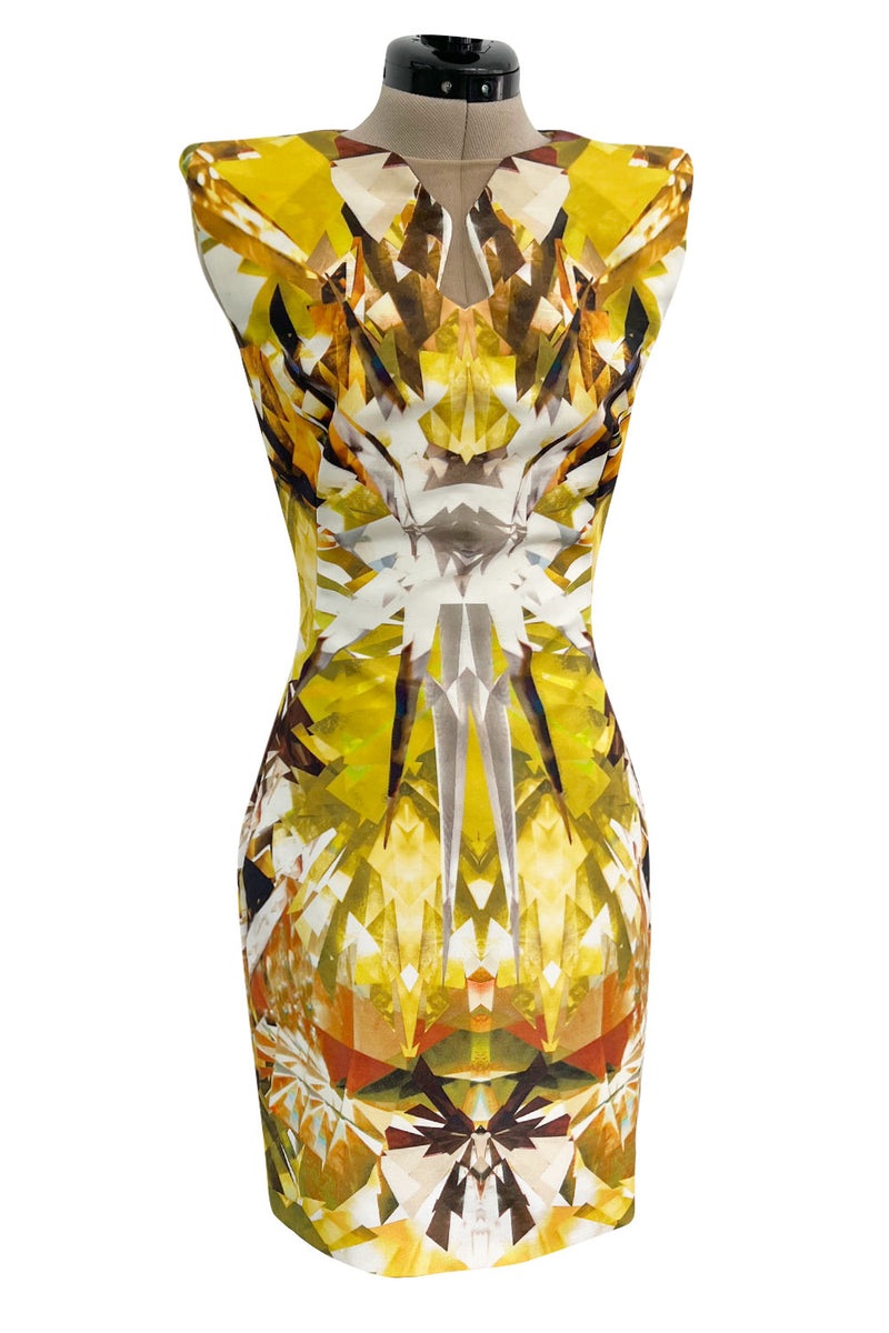 Spring 2009 Alexander McQueen Runway 'Natural Dis-tinctions, Un-Natural Selection' Crystal Print Dress