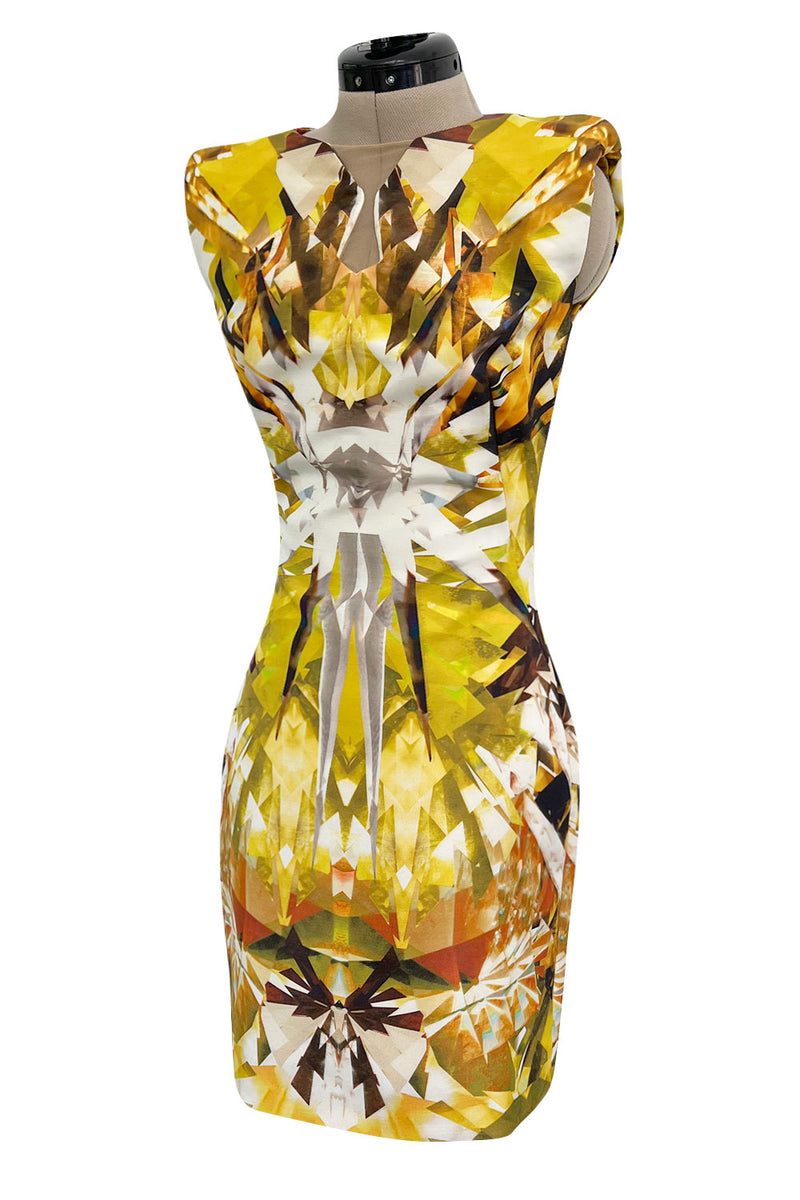 Spring 2009 Alexander McQueen Runway 'Natural Dis-tinctions, Un-Natural Selection' Crystal Print Dress