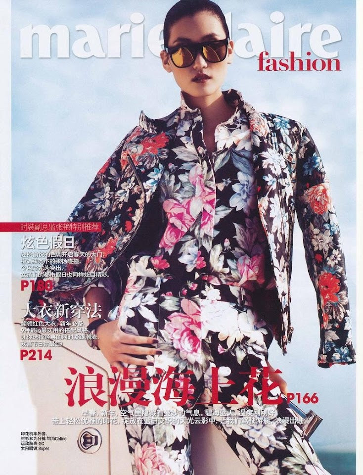 Well Documented Resort 2012 Celine by Phoebe Philo Floral Top or Jacket & Cropped Pant Suit