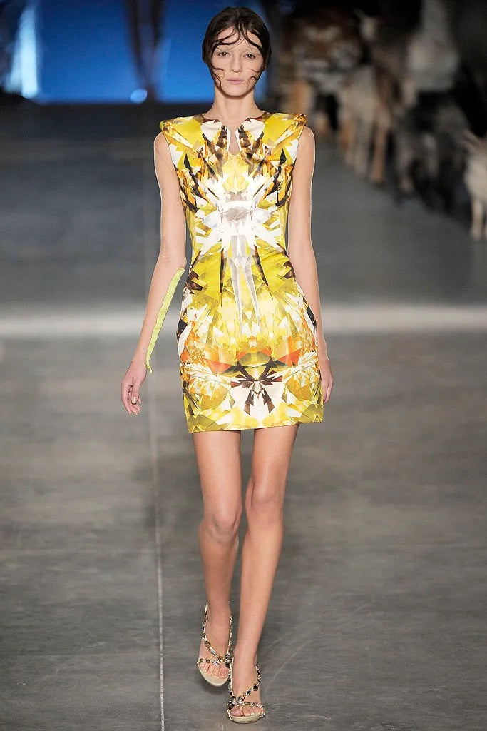 Spring 2009 Alexander McQueen Runway 'Natural Dis-tinctions, Un-Natural Selection' Crystal Print Dress