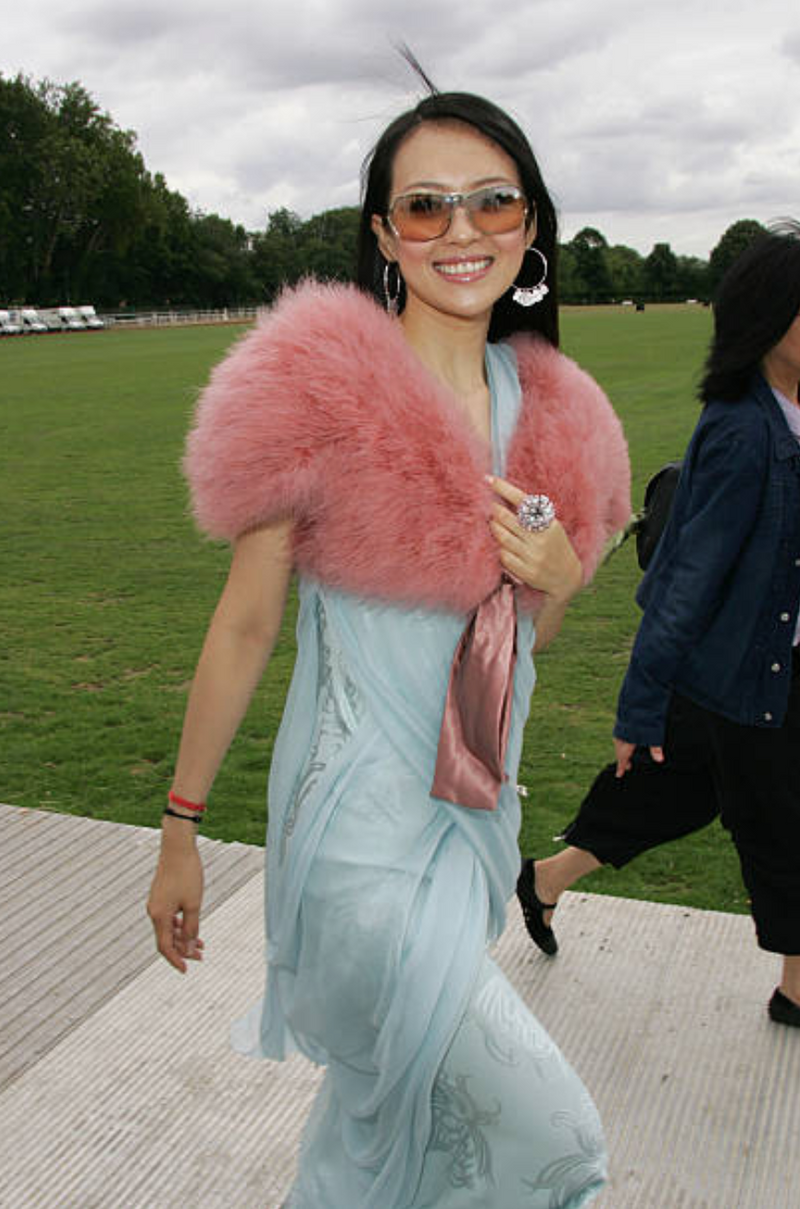 Prettiest Fall 2004 Christian Dior by John Galliano Burgundy Feather Bolero Capelet