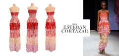 Banner esteban