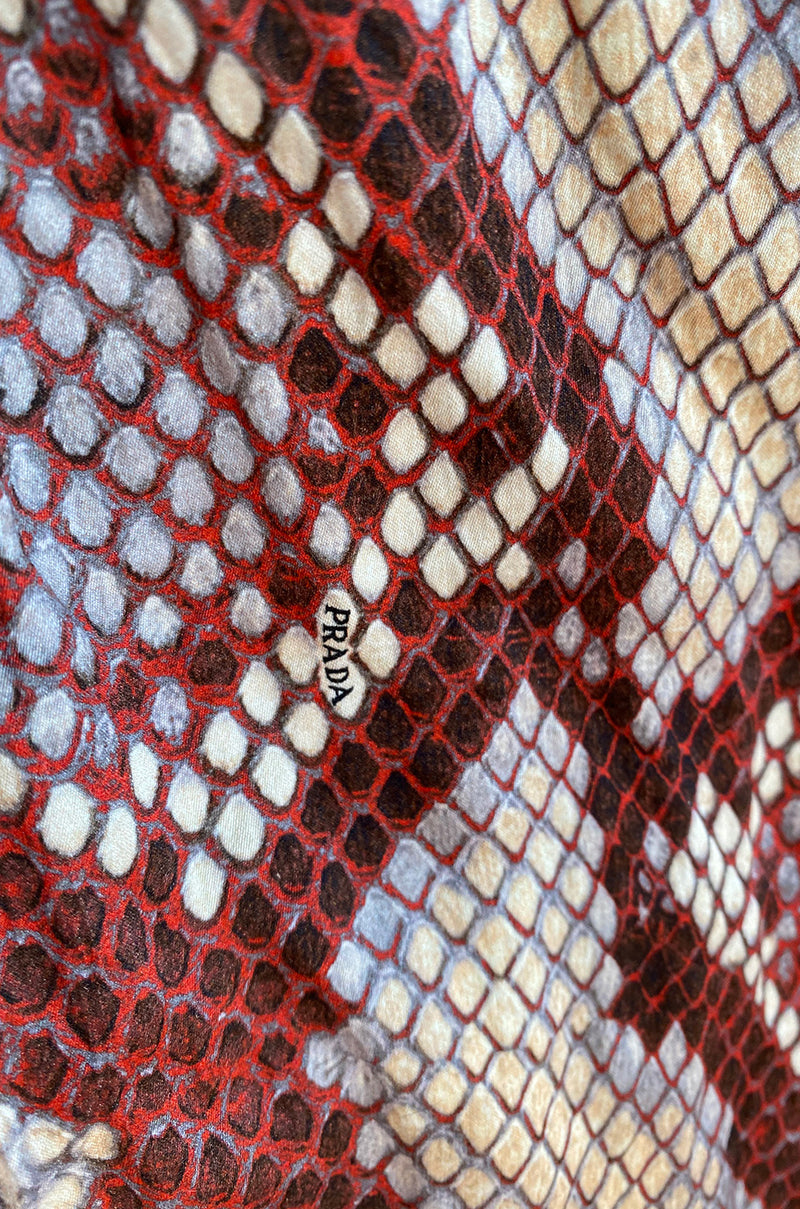 Spring 2009 Prada Runway Snakeskin Print Open Side Dress