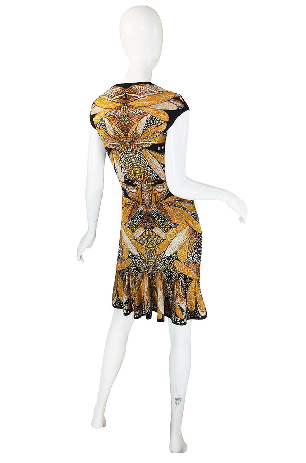 Recent Alexander McQueen Dragonfly Dress
