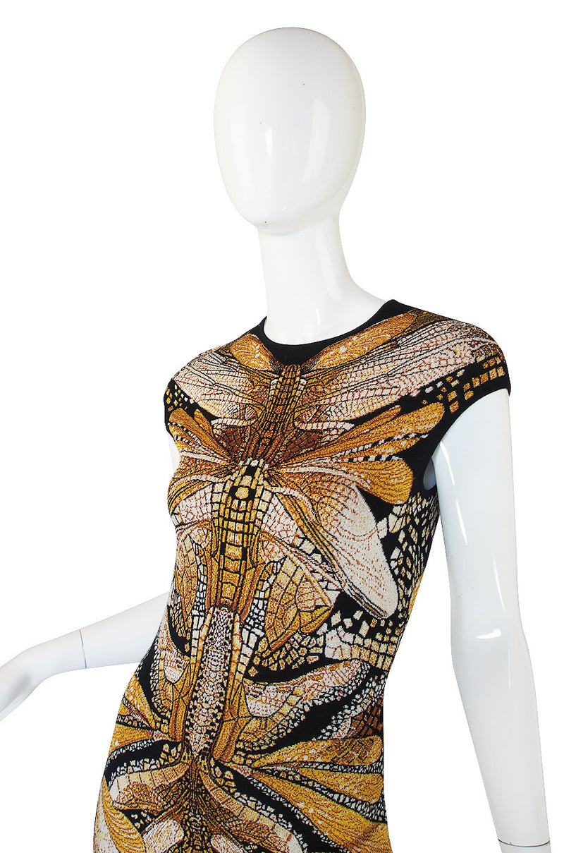 Recent Alexander McQueen Dragonfly Dress