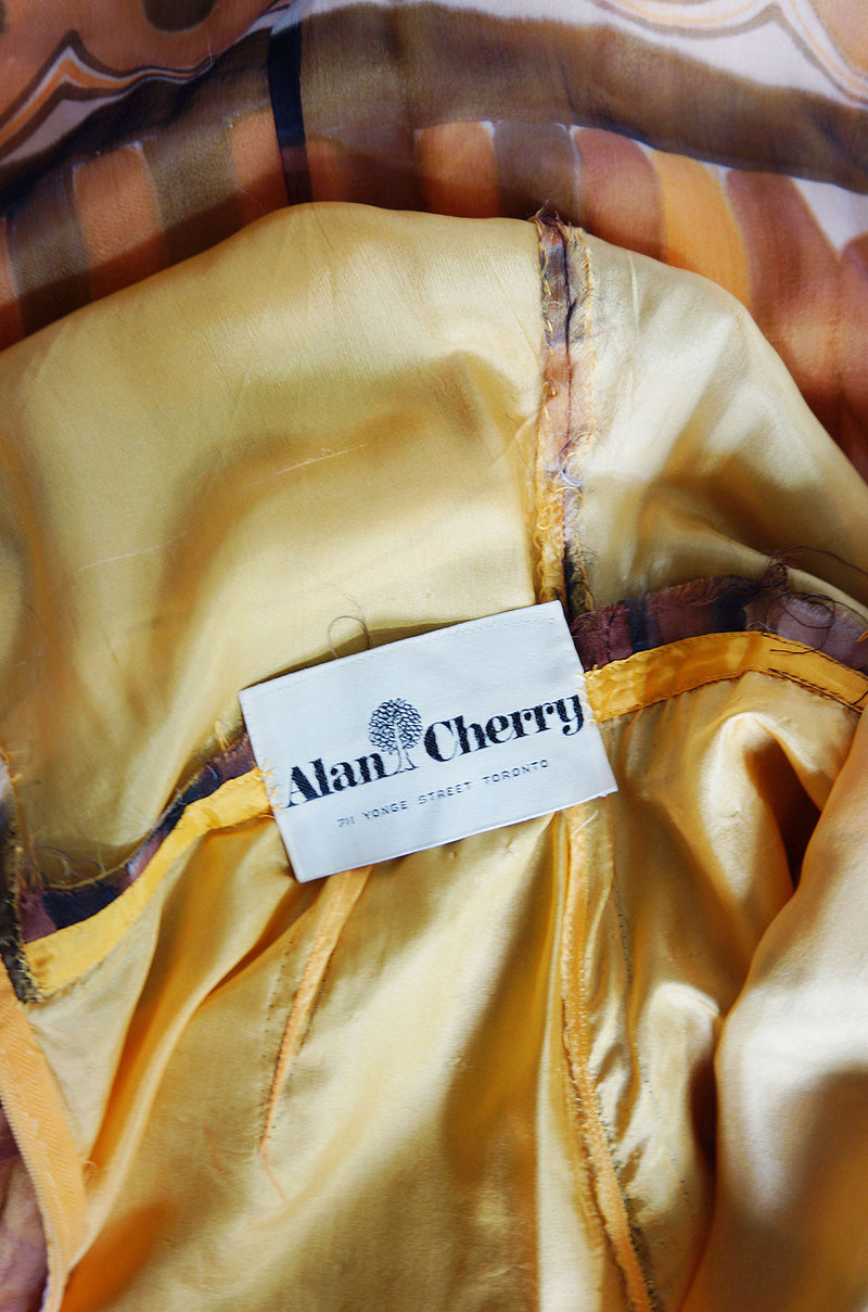 1960s Lovely Screened Silk Chiffon Maxi