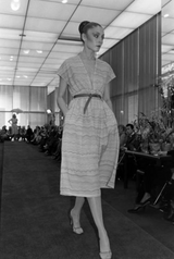 Spring 1979 Important Halston Plunge Dress